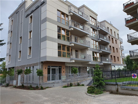 Alce polacco