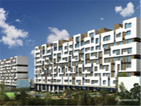 Progetto Miracolo Turchia - Istanbul